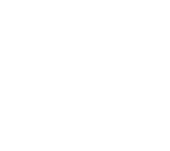 rectangle-list-solid